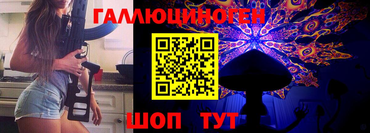 Каменск-Шахтинский  даркнет сайт  Вход с VPN  Галлюциногенные грибы мицелий  Псилоцибиновые грибы Psilocybe 